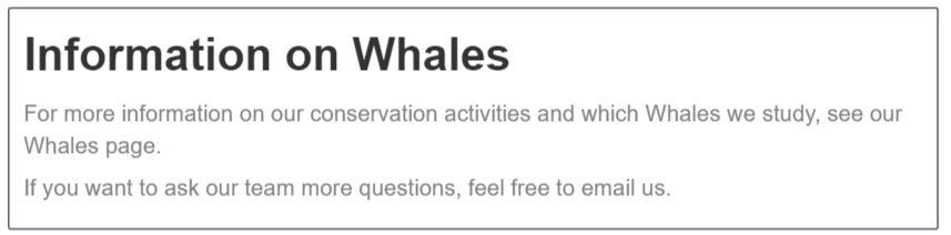 Página Information on Whales: un párrafo con enlace a la página de ballenas y otro de contacto por correo.
